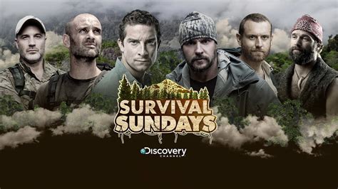 discovery channel survival shows|Stream Discovery Channel Survive This Shows 